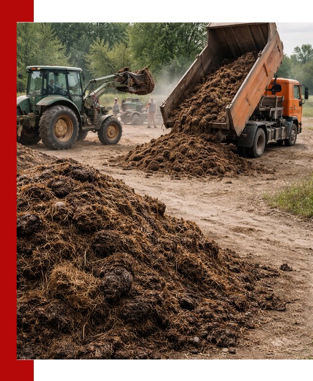 Доставка навоза самосвалами в Владивостоке для сельхозпотребностей